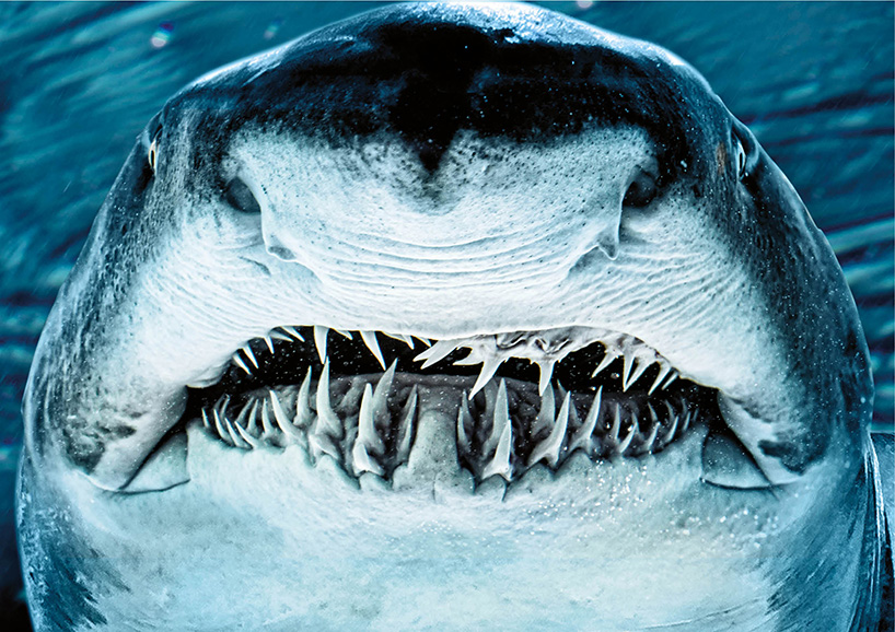 ADC_selezione_2017_6